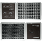 100Gcombi Large Obverse