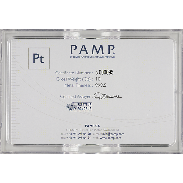 10Pampplat Large Reverse