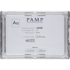 10Pamp Large Reverse