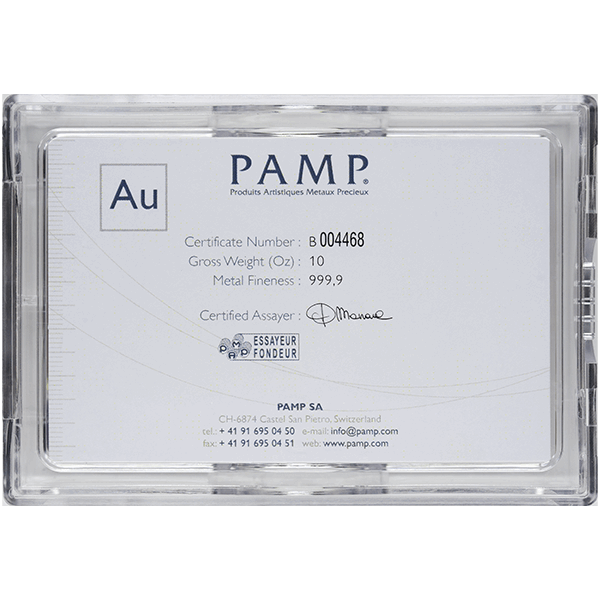 10Pamp Large Reverse