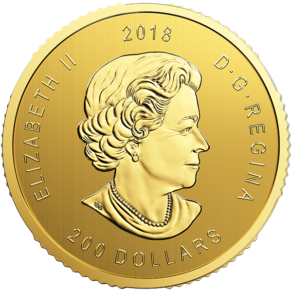 1Ggo18 Large Reverse