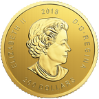 1Ggo18 Large Reverse