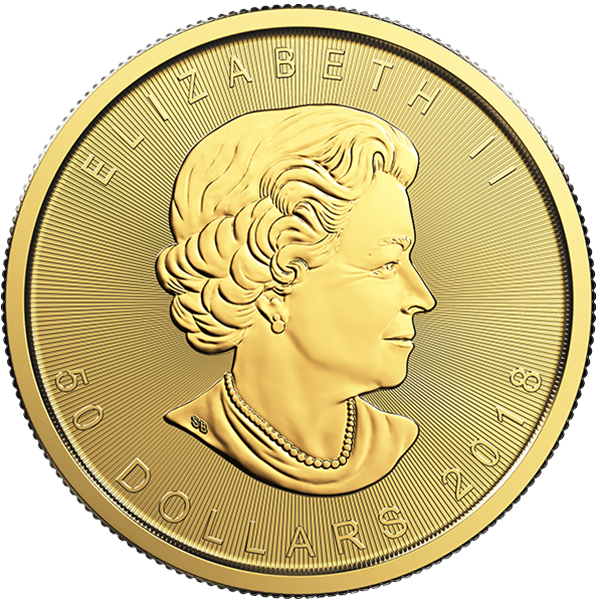 1Gml18 Large Reverse