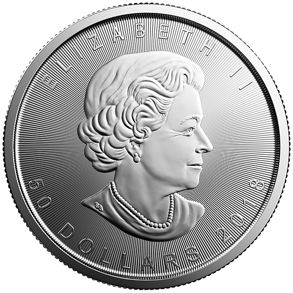 1Ptml18 Large Reverse