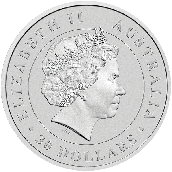 1Skoa18 Large Reverse