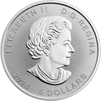 1Ssup16 Large Reverse