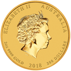 2Gpdo18 Large Reverse