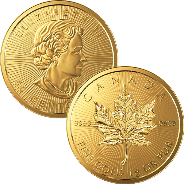 8Gmultim Large Reverse