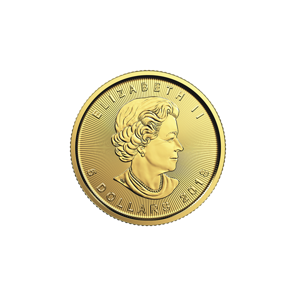 .1Gml18 Large Reverse