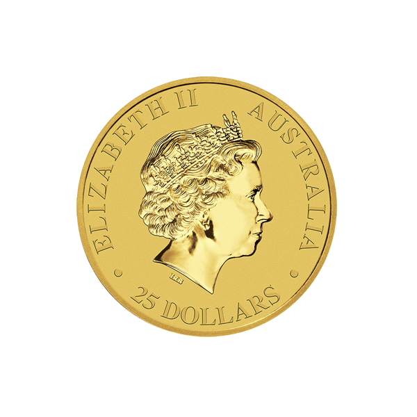 .25Gka18 Large Reverse