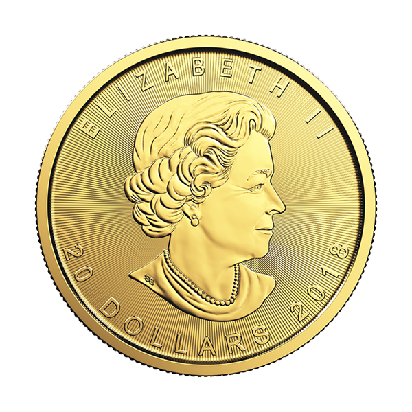 .5Gml18 Large Reverse