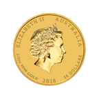 .5Gpdo18 Large Reverse